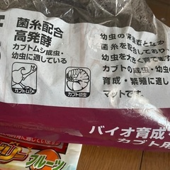 カブトムシ飼育セットの画像