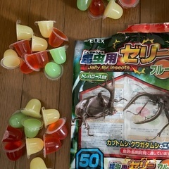カブトムシ飼育セットの画像