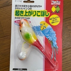 マルカン　鳥かご（8月9日まで）の画像