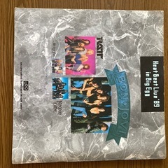 Heat Beat Live'89 in Big Egg　ツアーパンフの画像
