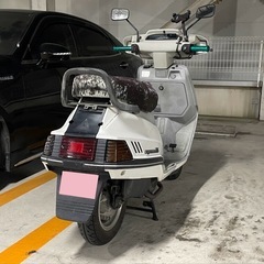 【自賠責令和7年9月まで】シグナス125 50V 実働 125cc 原付二種
の画像
