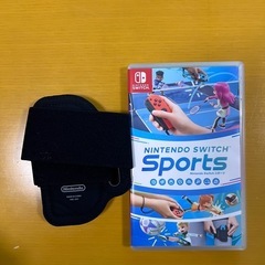 Nintendo  switch ソフト sports
の画像