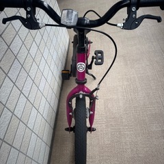 ストライダー　14x パープルの画像