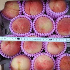 犬山しのおかの桃　なつっこ　12個入1箱(半箱)　税込2300円の画像