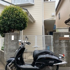 乗車して帰れます　ホンダ　ジョーカー50   家内が全く利用しないので必要な方へお譲りさせてくださいの画像