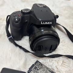 LUMIX DC-FZ85D 付属品完備・メーカー保証有り の画像