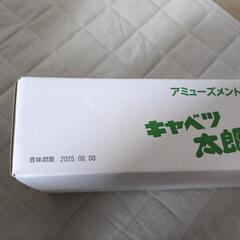 キャベツ太郎　12個入りの画像