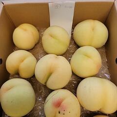 赤磐市の桃③の画像