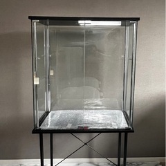 ガラスケース　コレクションケースの画像
