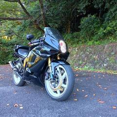 ヒョースン（HYOSUNG）GT250R キャブ仕様 250cc カスタム車両の画像