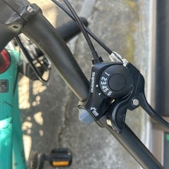 お譲り先決まりましたの画像