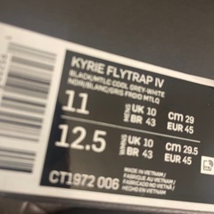 新品　KYRIE FLYTRAP IV 29cm カイリー　バッシュ　バスケット　シューズの画像