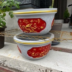 鉢の画像