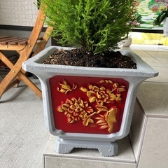鉢の画像