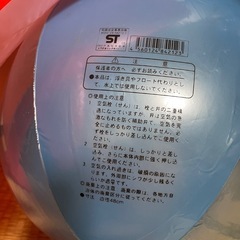 ビーチボール・いるか①の画像