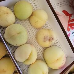 赤磐市の桃 痛みあり④の画像