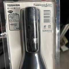 ダイビング用照明 ライトの画像