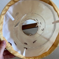 受付終了【早い者勝ち！】猫用トンネル おもちゃ 猫壱の画像