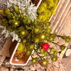 元気なお花セット（蕾つき💐）の画像