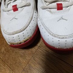 訳あり  ジョーダン 26センチの画像