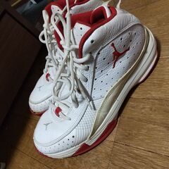 訳あり  ジョーダン 26センチの画像