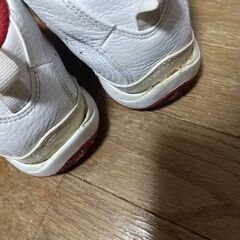訳あり  ジョーダン 26センチの画像
