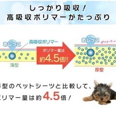 アイリスオーヤマ　ペットシーツ　ワイド50×2 ①
の画像