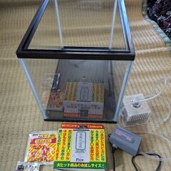 鑑賞用水槽 小さ目 金魚 淡水魚用の画像