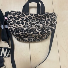 ZARA LESOUK ベイフローの画像