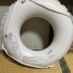 浮き輪 スイカ ③の画像