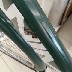 ★リユースのサカイ日立店★HJ7221 ANIMATO 自転車 26インチ グリーン クリーニング済み の画像