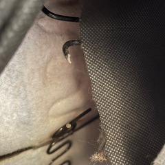 NOCE ノーチェ 2人掛けソファ NEW WEST ニューウエストの画像