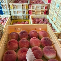 桃の仲介販売〈甲州山梨産地直送の桃〉の画像