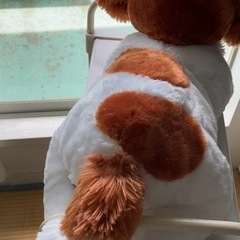 ぬいぐるみ犬 の画像