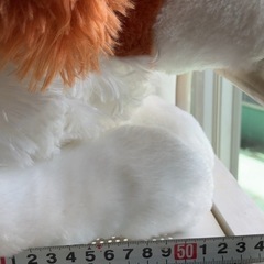 ぬいぐるみ犬 の画像