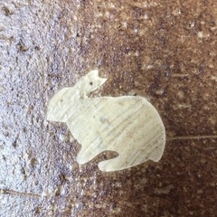 やきもの和皿　（箱入り）の画像