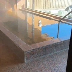 お座敷ヨガ・道の駅あがつま峡の画像