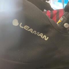 0727-110 LEAMANバギーの画像