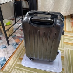 キャリーバッグの画像