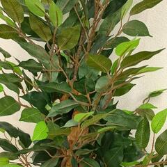 0727-063 フェイクグリーン 人工観葉植物の画像