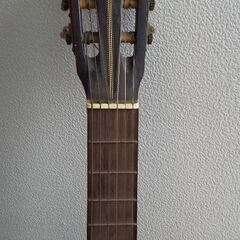 ギターの画像
