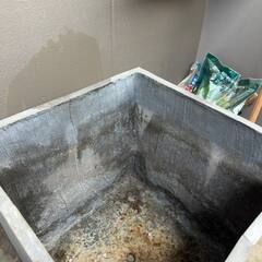 巨大プランターの画像