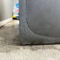 巨大プランターの画像