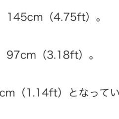 ダイソー魚とり網の画像
