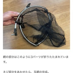 ダイソー魚とり網の画像
