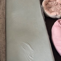 カインズ　ロングフロアクッション flatty2個の画像