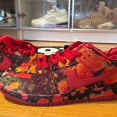 The Wizard of Oz × Nike SB "Poppy Field" 28.5cm 新品の画像