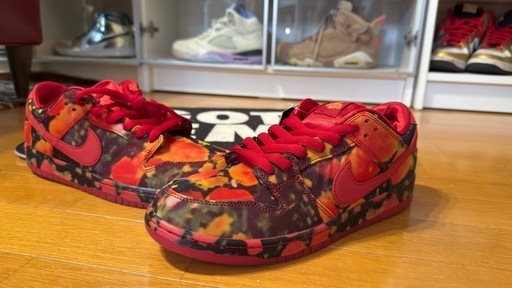 The Wizard of Oz × Nike SB 