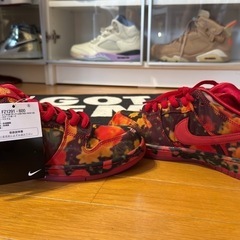 The Wizard of Oz × Nike SB "Poppy Field" 28.5cm 新品の画像