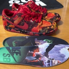 The Wizard of Oz × Nike SB "Poppy Field" 28.5cm 新品の画像